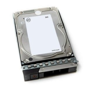 DELL 161-BCJX interne harde schijf 12 TB 7200 RPM 3.5" NL-SAS
