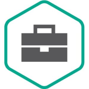 Kaspersky Professional Services Licentie 1 jaar 12 maand(en)