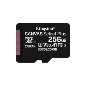 Kingston Technology 256GB micSDXC Canvas Select Plus 100R A1 C10 enkel pakket zonder ADP