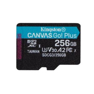 Kingston Technology 256GB microSDXC Canvas Go Plus 170R A2 U3 V30 enkel pakket zonder ADP