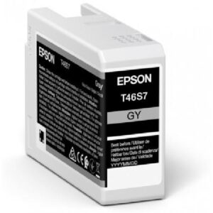 Epson UltraChrome Pro inktcartridge 1 stuk(s) Origineel Grijs