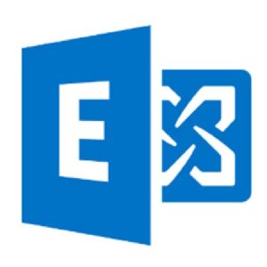 Microsoft Exchange Server Client Access License (CAL) 1 licentie(s) Meertalig 1 jaar