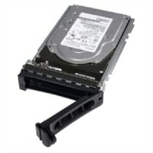 DELL 400-AURS interne harde schijf 1 TB 7200 RPM 3.5" SATA III