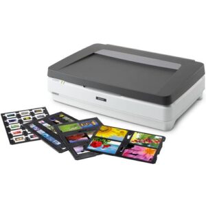 Epson Expression 13000XL Pro Flatbed scanner 2400 x 4800 DPI A3 Grijs, Wit
